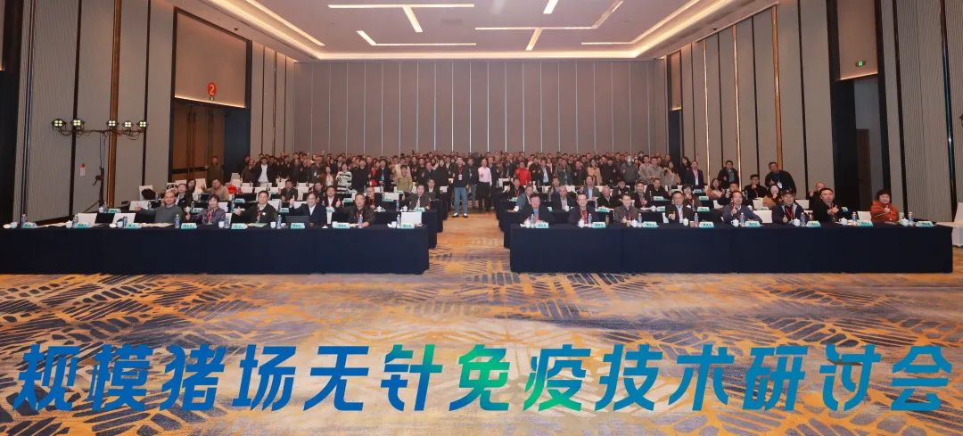 2025规模猪场无针免疫技术研讨会