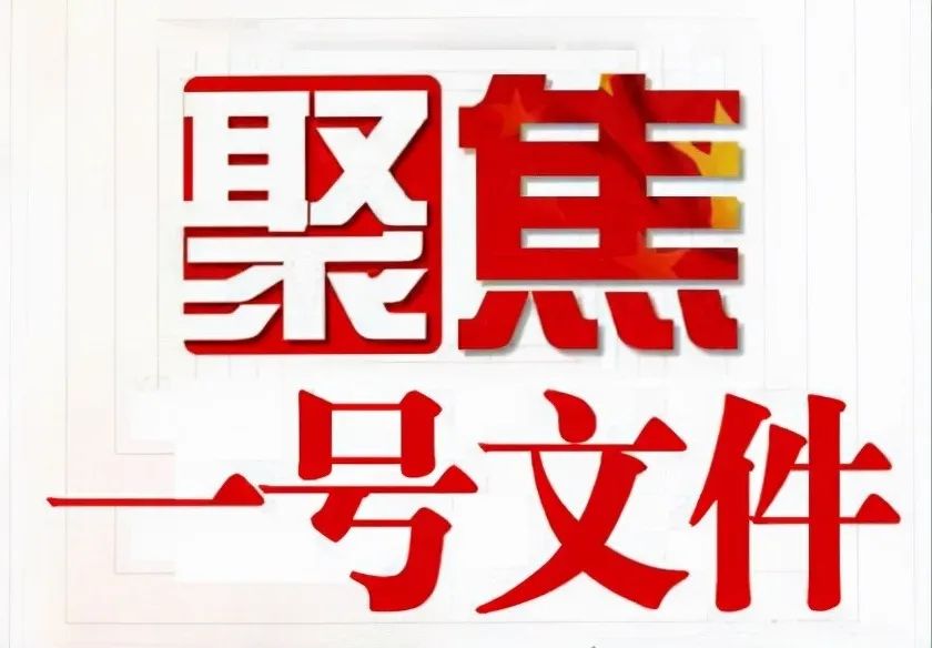 活体猪抵押、合作社捆绑降本…一号文件透露6点养猪重要信号
