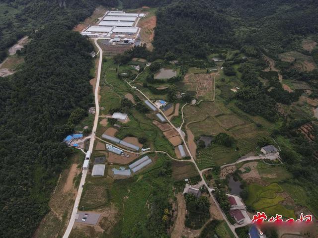 预计2027年底完工！湘西北100万头生猪产业链项目已完成工程投资11亿元