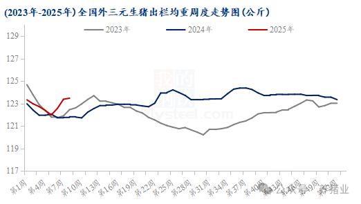 出栏重与猪价波动：供需博弈下的新趋势