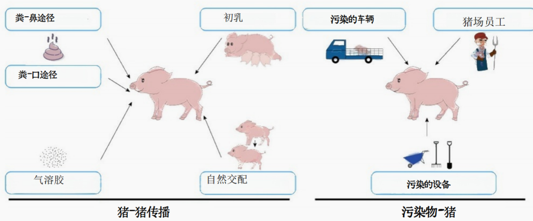 图2.png