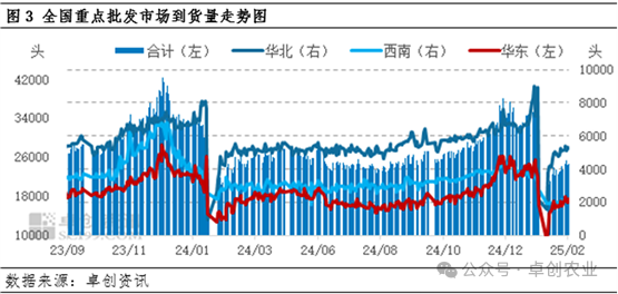批发市场到货量
