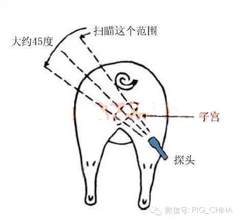 测试扫描示意图