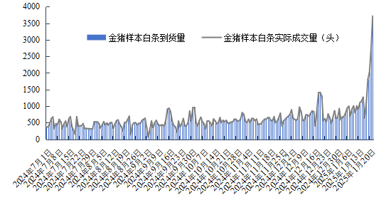 金猪样本白条到货量和实际成交量