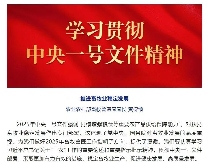 中央一号文件精神