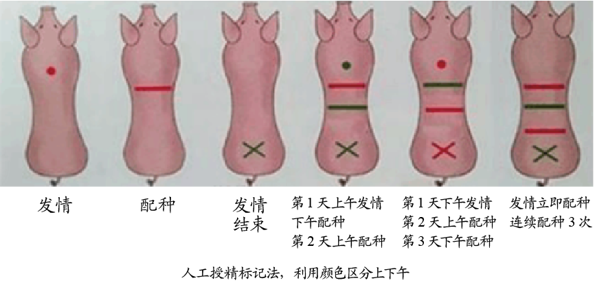点线标记