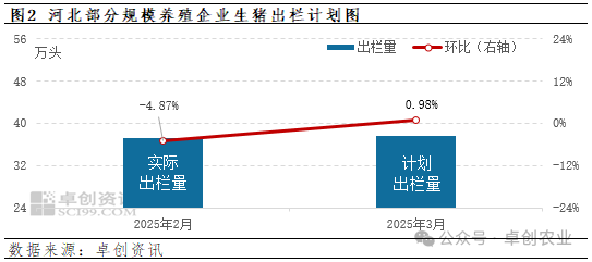 河北规模猪企生猪出栏计划图