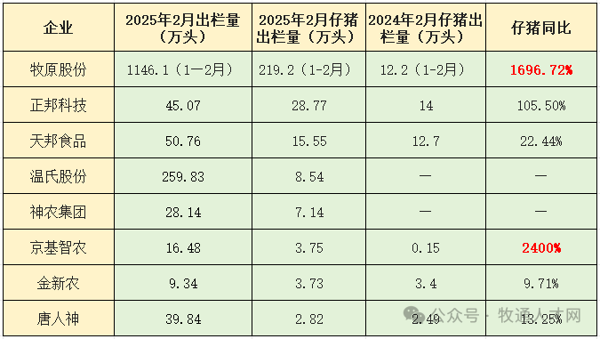 养猪巨头仔猪销量暴增！新一轮“中小饲企养猪潮”凶猛来袭