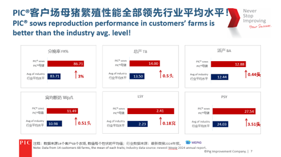 母猪繁殖性能全面领先行业