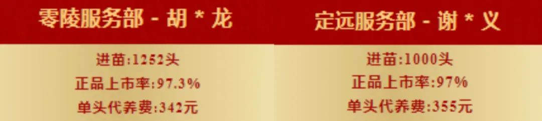 双胞胎公司加农户