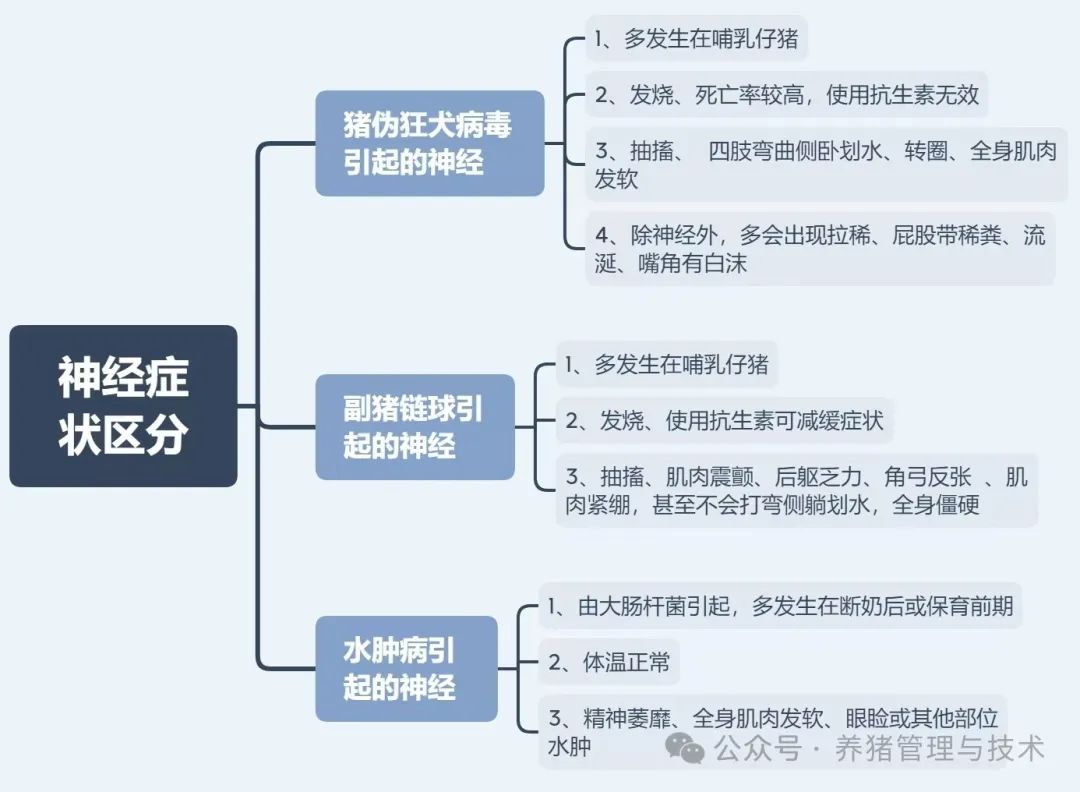 9种猪病诊断技术汇总！值得收藏