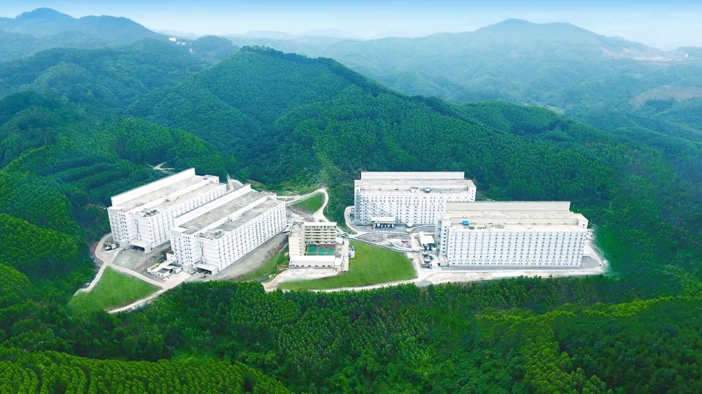 2020年5月 母猪场