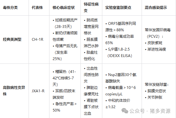 国内PRRSV主要毒株临床症状分析表