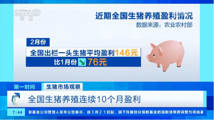 生猪养殖盈利