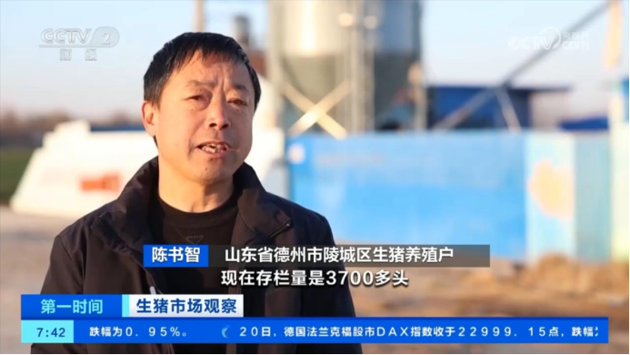 陈书智
