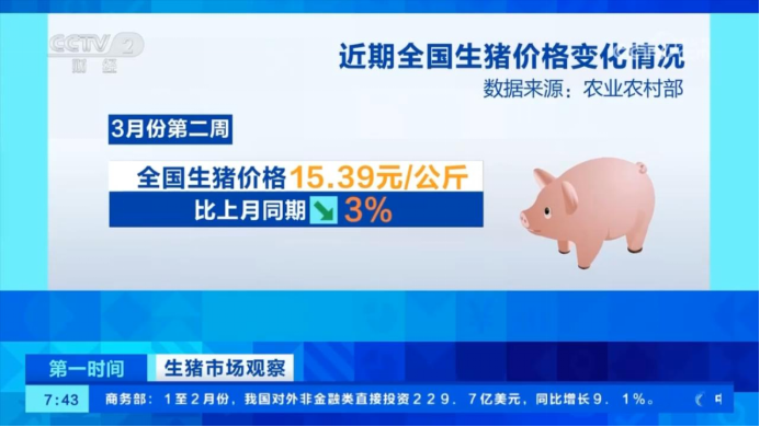 生猪行情