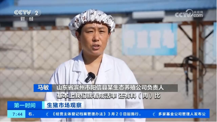 马敏