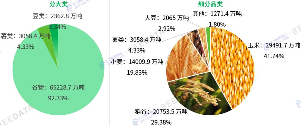 2024年中国粮食产量分品种结构