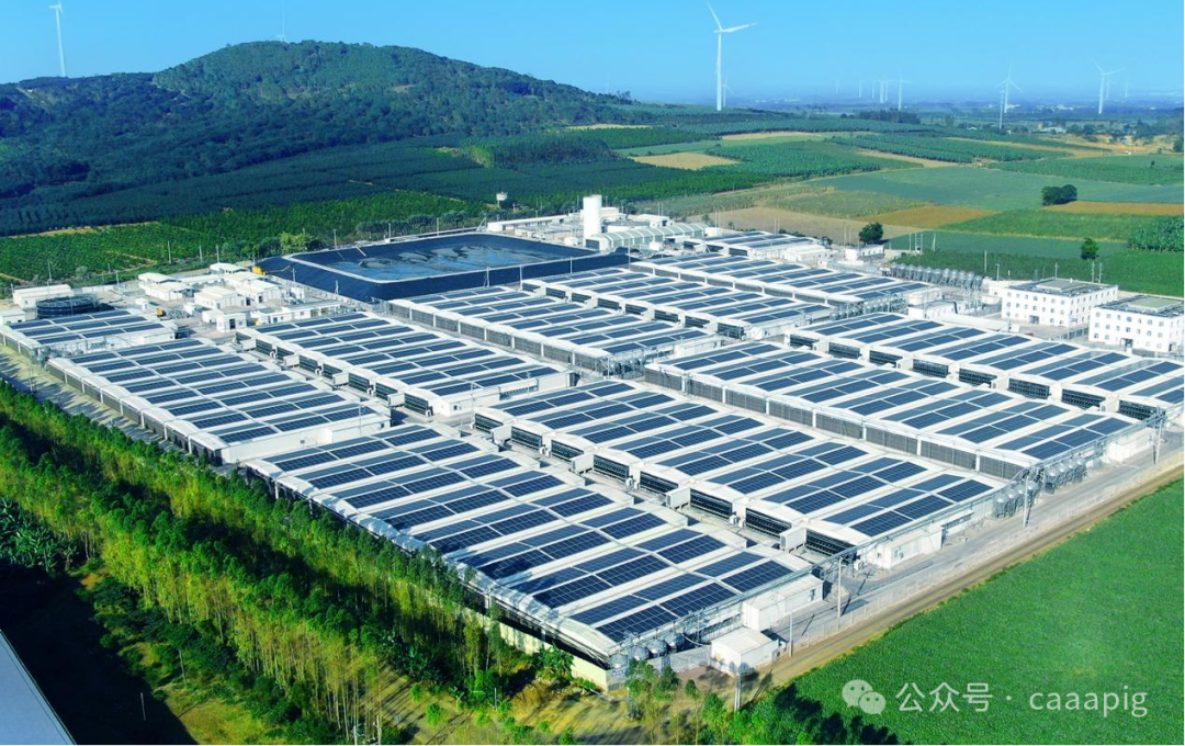雷州牧原30场光伏发电项目全景图