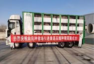 康嘉种业高端种猪顺利“入住”辽宁本溪，共筑生猪产业新“芯”篇！