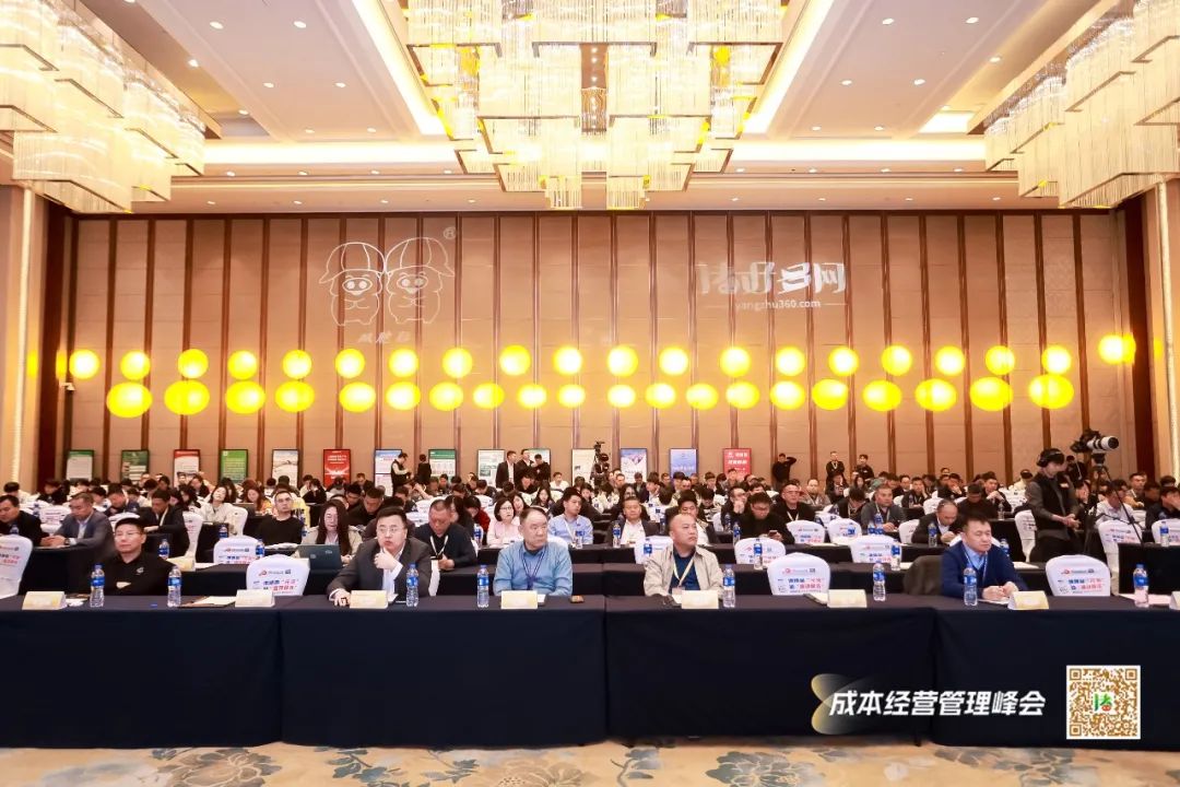 圆满落幕！2025集团猪企与规模猪场＜成本-经营-管理＞养猪产业峰会暨生猪产业＜种猪＆仔猪供需创享＞购销对接会成功召开！