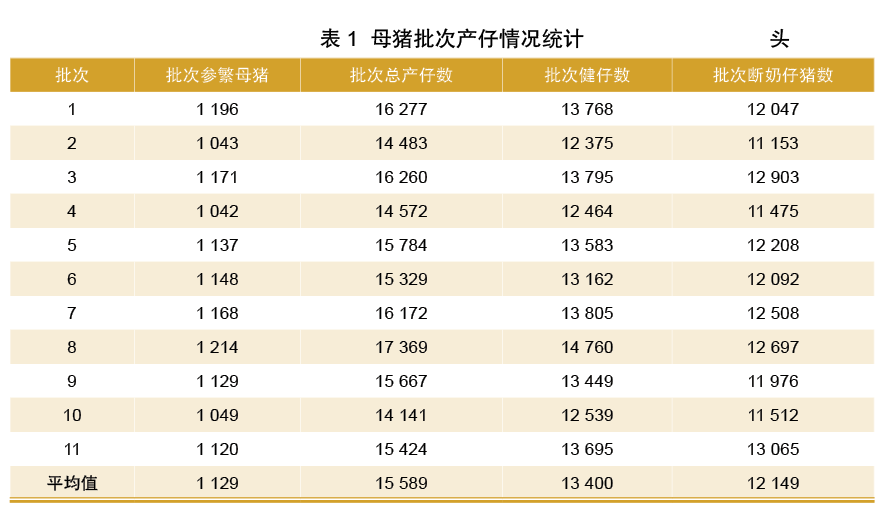 母猪批次产仔情况