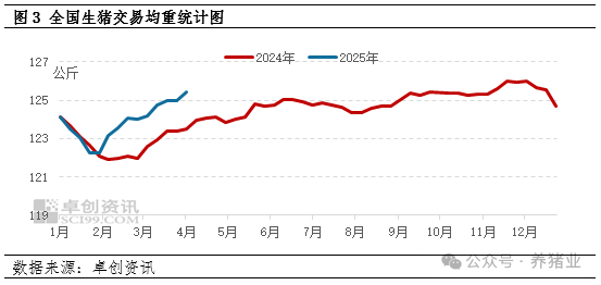 3月份生猪出栏环比增加，4月或继续增加！啥情况？