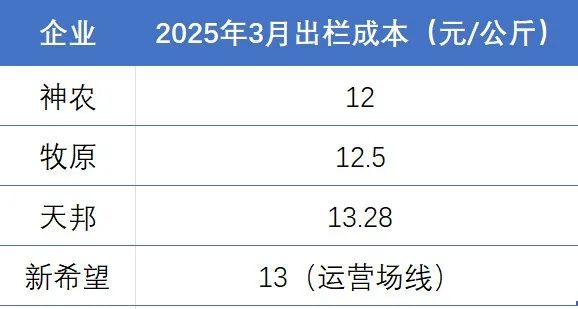 猪企最新成本公布！一头赚300！今年仍是集团大赚的一年？