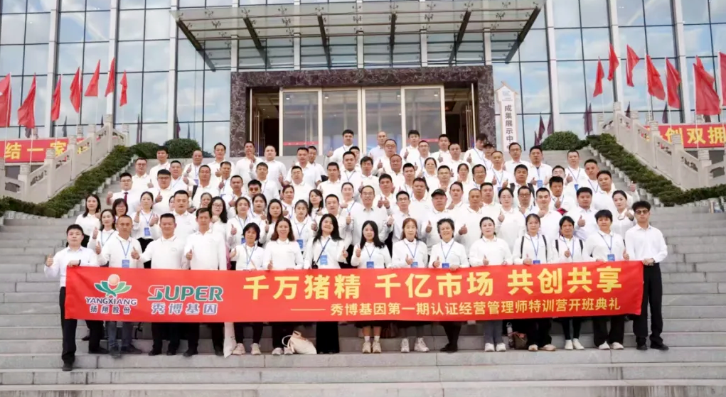 图片11.png