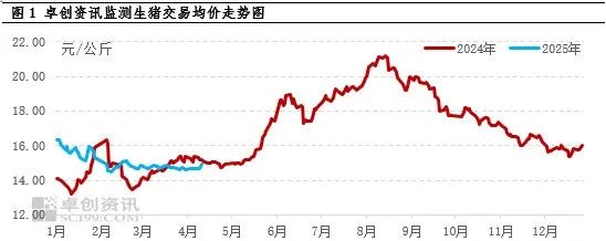 生猪行情