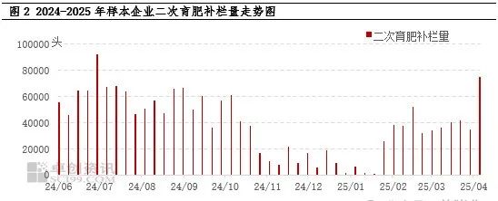 二次育肥补栏