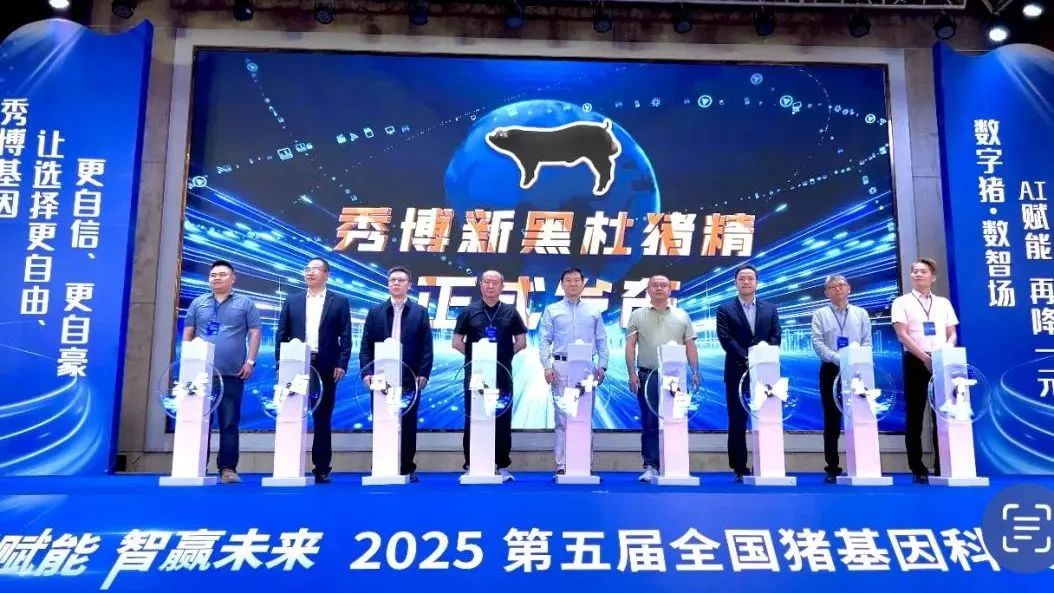 黑杜猪精