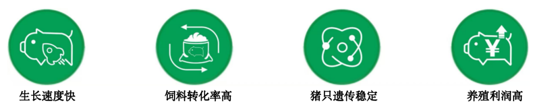微信图片_20250418100856.png