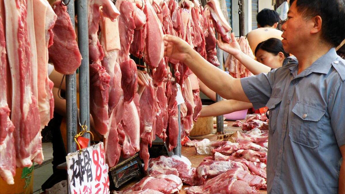 猪肉