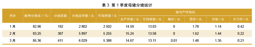 母猪分娩统计