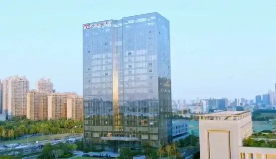 双胞胎集团