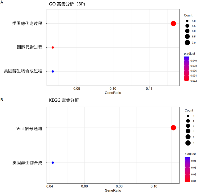猪闭锁卵泡下调基因GO（A）和KEGG（B）富集分析