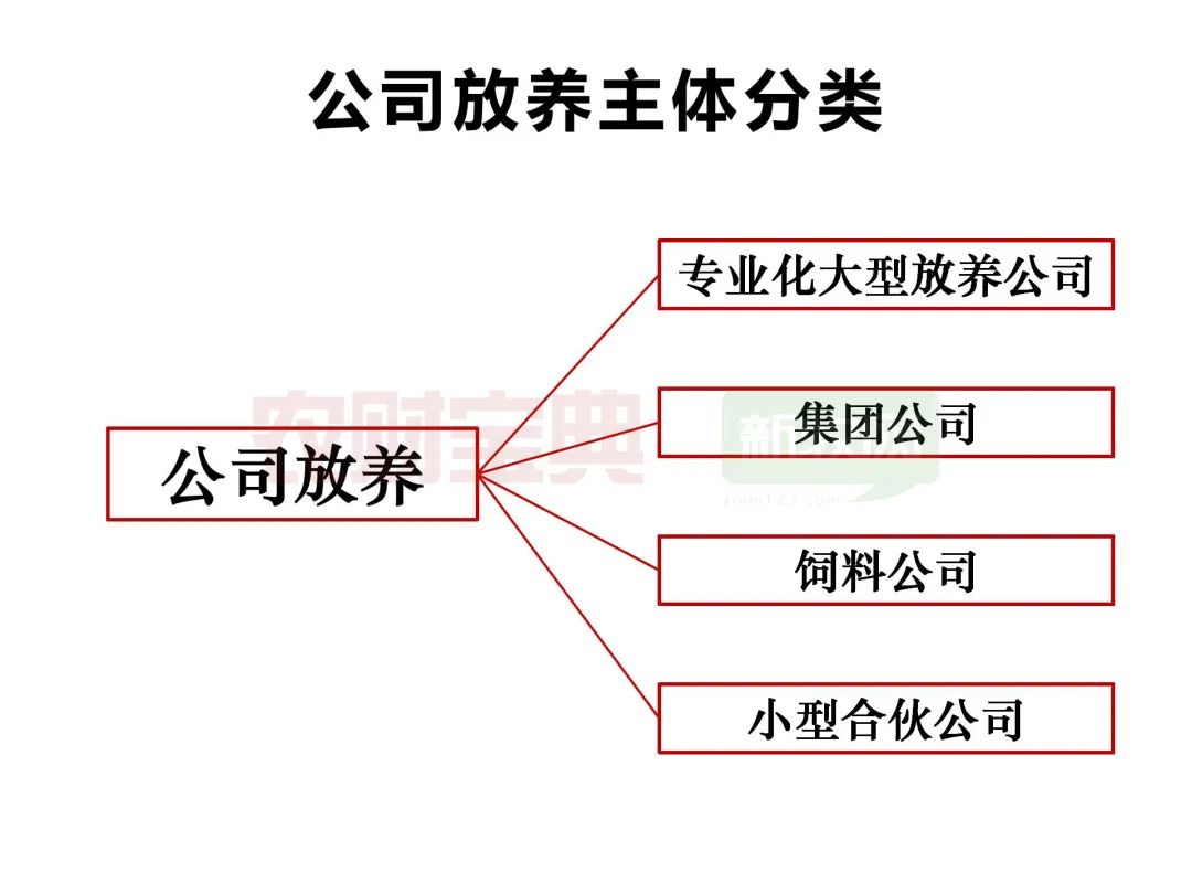 公司放养主题分类