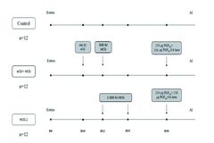 烯丙孕素新剂型+AI发情监测：批次化生产开启“智能控时”时代