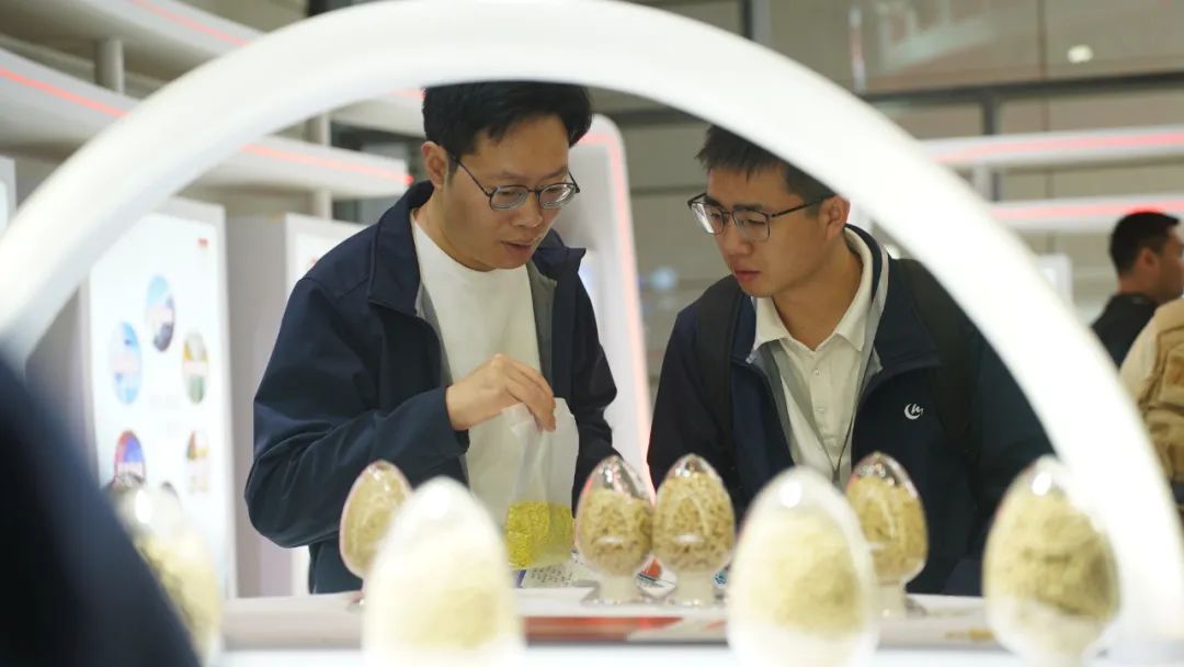 双胞胎展位