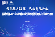 聚焦蓝耳防控，赋能养殖升级！国药动保2025年陕西核心规模猪场蓝耳病防控技术交流会成功召开