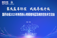聚焦蓝耳防控，赋能养殖升级！国药动保2025年陕西核心规模猪场蓝耳病防控技术交流会成功召开