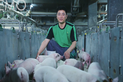 27载坚守，扬翔博士天团以科技重塑养猪业“味”来