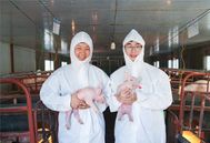 如何有效防控非洲猪瘟？稳进出关卡，守住养殖安全防线