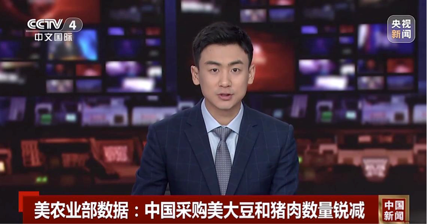中国退运30万吨美国大豆，取消1.2万吨美国猪肉订单！
