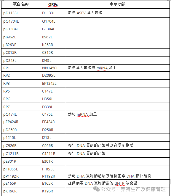 非洲猪瘟病毒（ASFV）编码的主要非结构蛋白