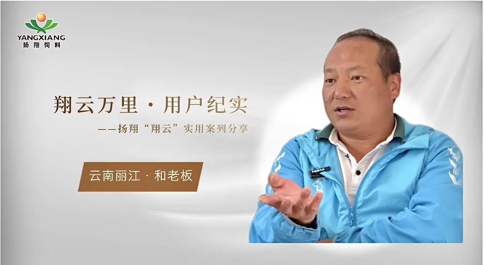 网友奔现成就百万仔猪：扬翔饲料与和老板的双向奔赴，脚踏实地赢市场
