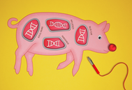 抗蓝耳猪“闯关”FDA：基因编辑肉端上餐桌，你敢吃吗？