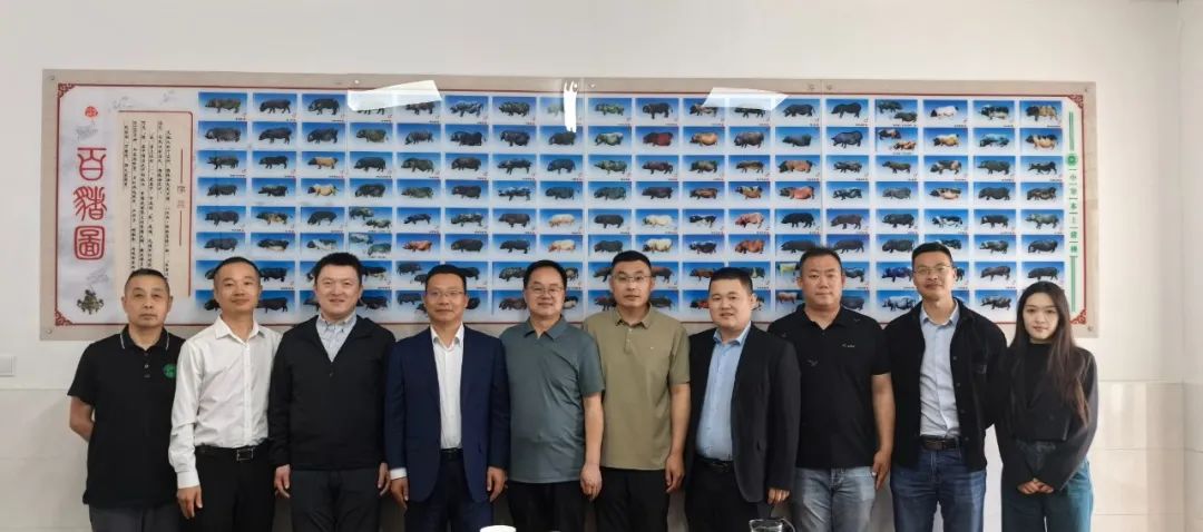 中粮家佳康养殖部总经理张建航一行到康嘉种业座谈交流