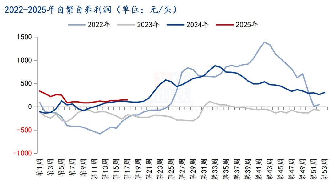 自繁自养利润